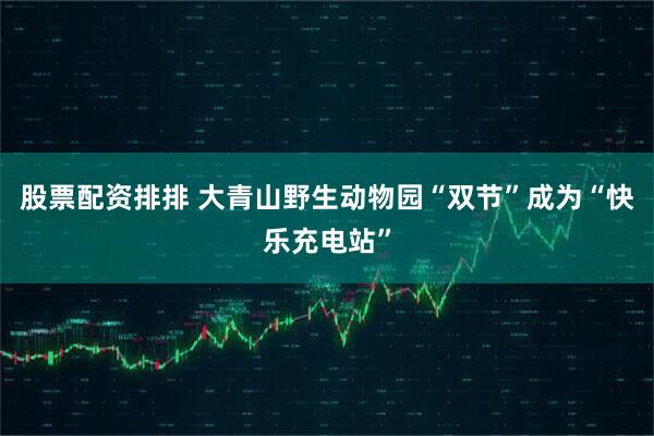 股票配资排排 大青山野生动物园“双节”成为“快乐充电站”