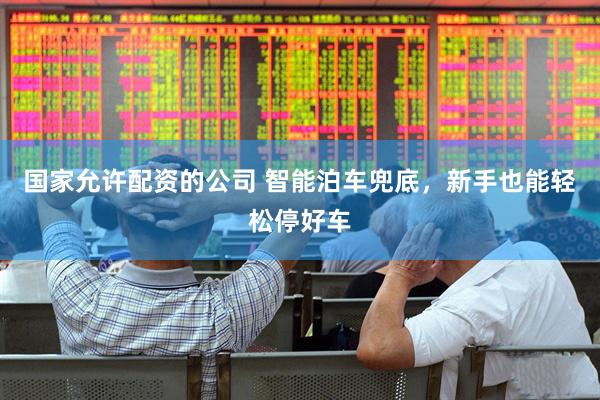 国家允许配资的公司 智能泊车兜底，新手也能轻松停好车